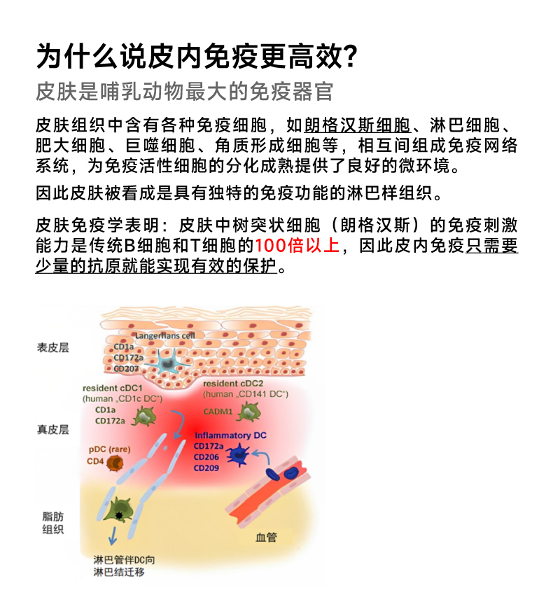 ECI-T4详情_C.jpg