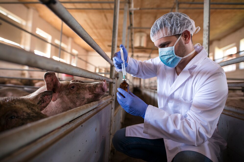 professional-veterinarian-white-coat-mask-holding-syringe-medicine-preparing-vaccination-pigs-prevent-diseases_342744-353.jpg