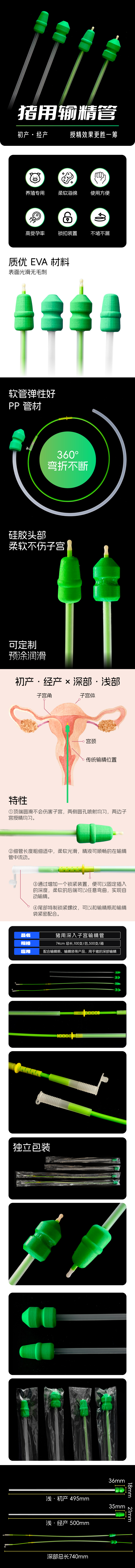 输精管详情CN_ALL.jpg