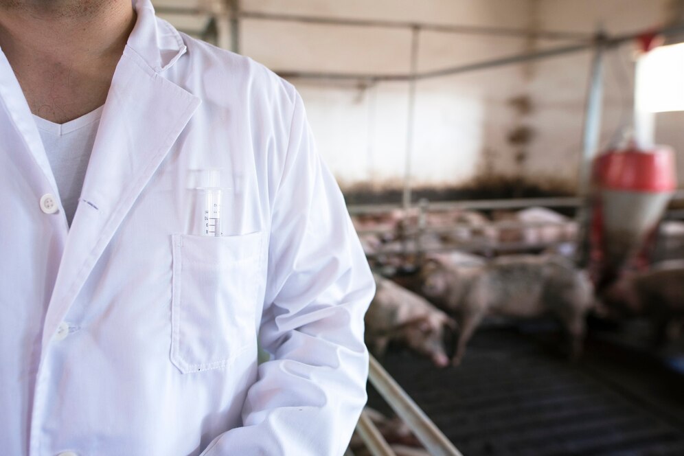 close-up-view-unrecognizable-veterinarian-with-syringe-his-front-pocket-pigs-domestic-animals-pigpen-background_342744-333.jpg